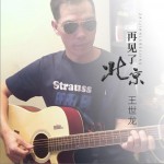 再见了北京 (单曲)详情