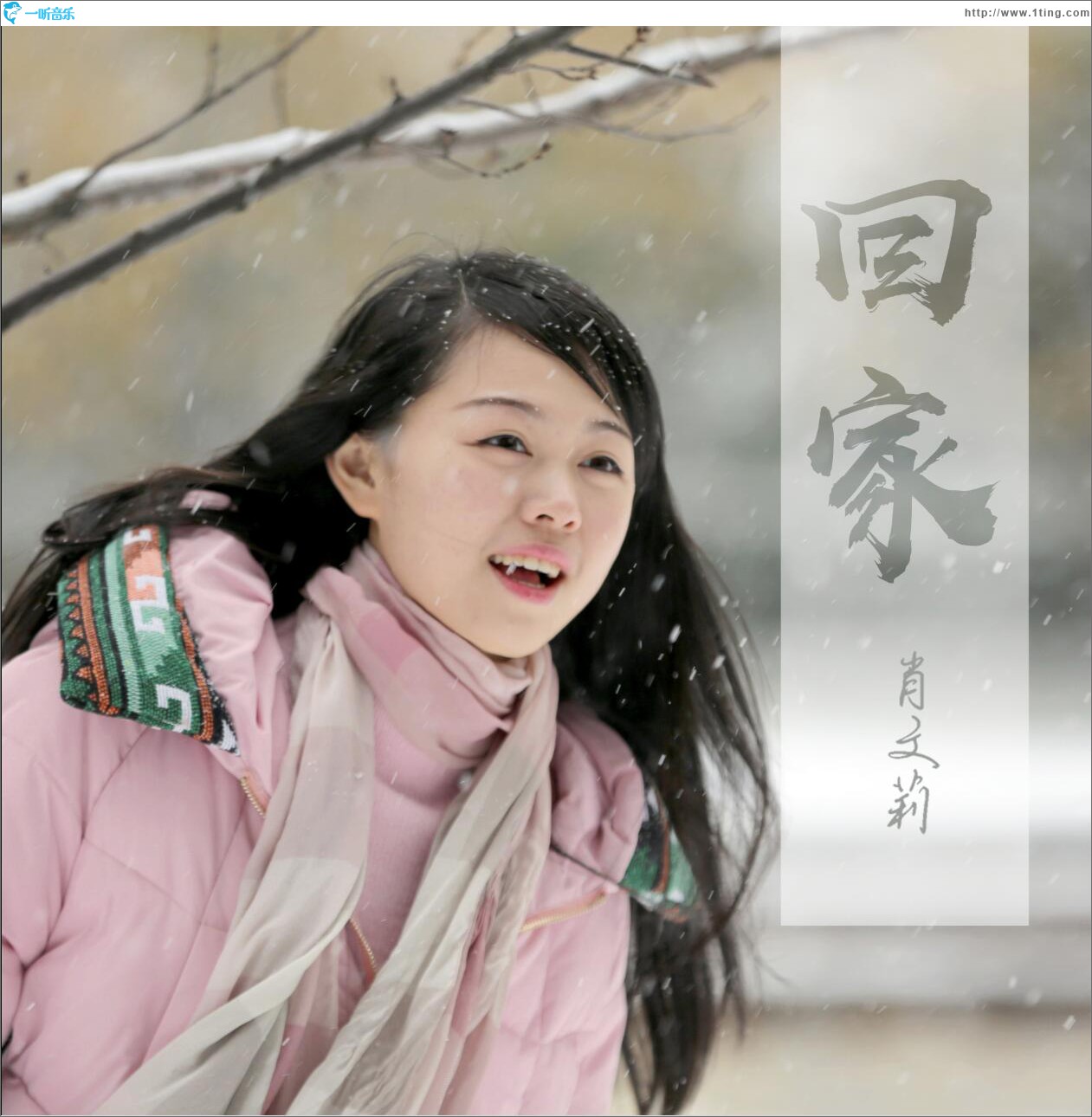 回家 (单曲)