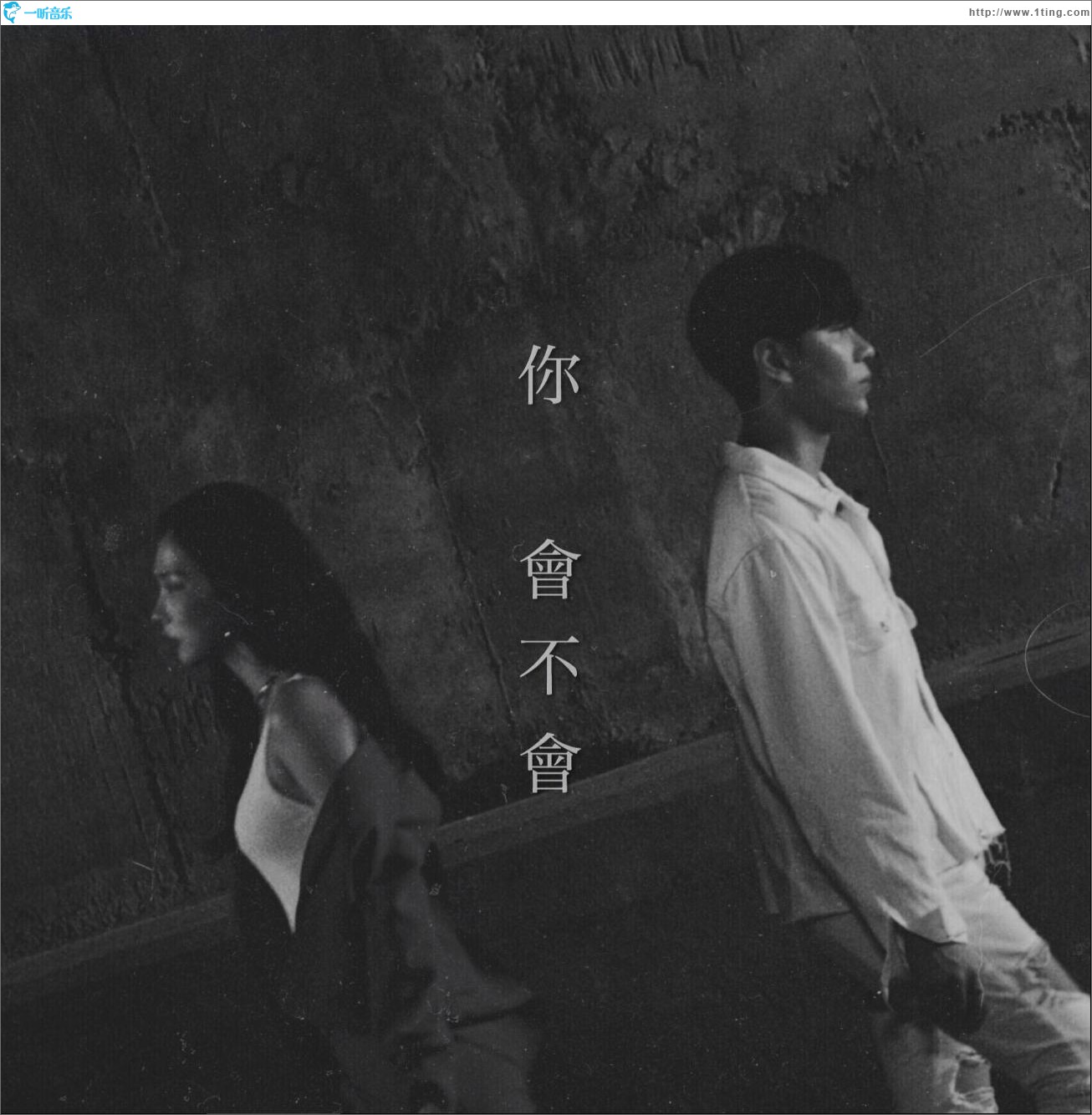 你会不会 (单曲)