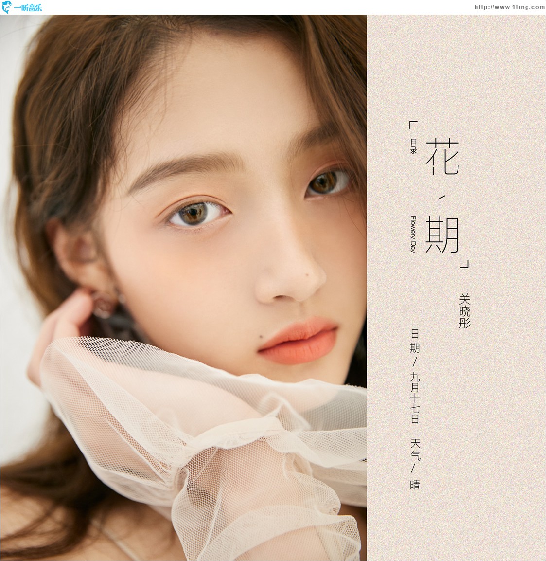 花期 (单曲)
