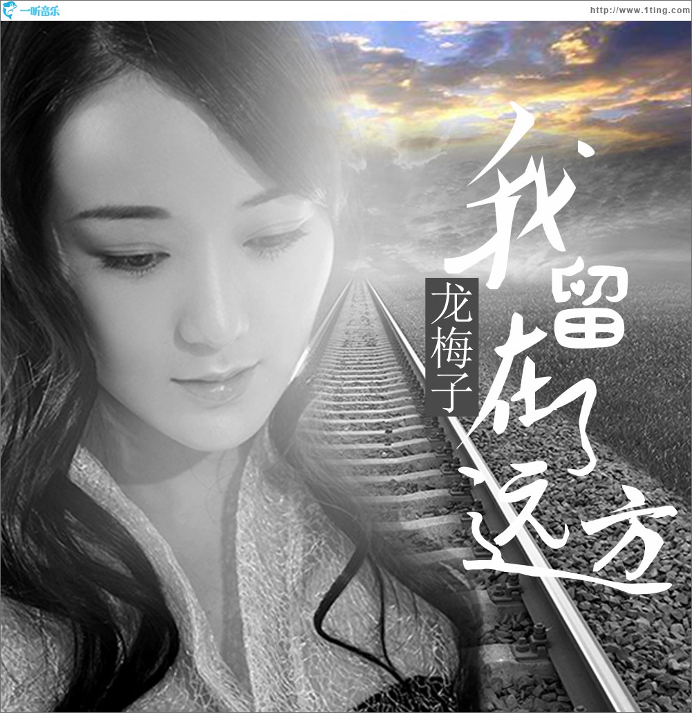 我留在了远方 (单曲)