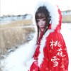 桃花雪 (单曲)