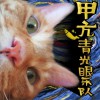 甲亢 (单曲)