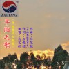 马艺航 早阳之歌 试听