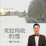 克拉玛依的雪 (单曲)详情