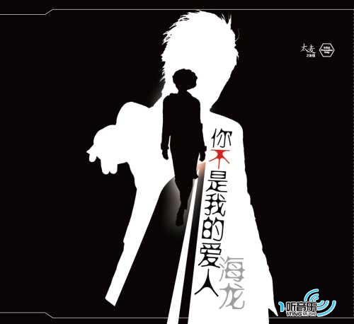 你不是我的爱人