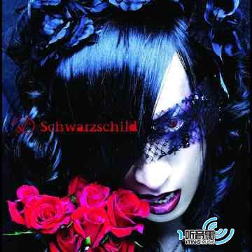 Schwarzschild