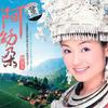 阿幼朵 飞向苗乡侗寨 试听