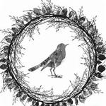 Song 3: Bird on the Water详情
