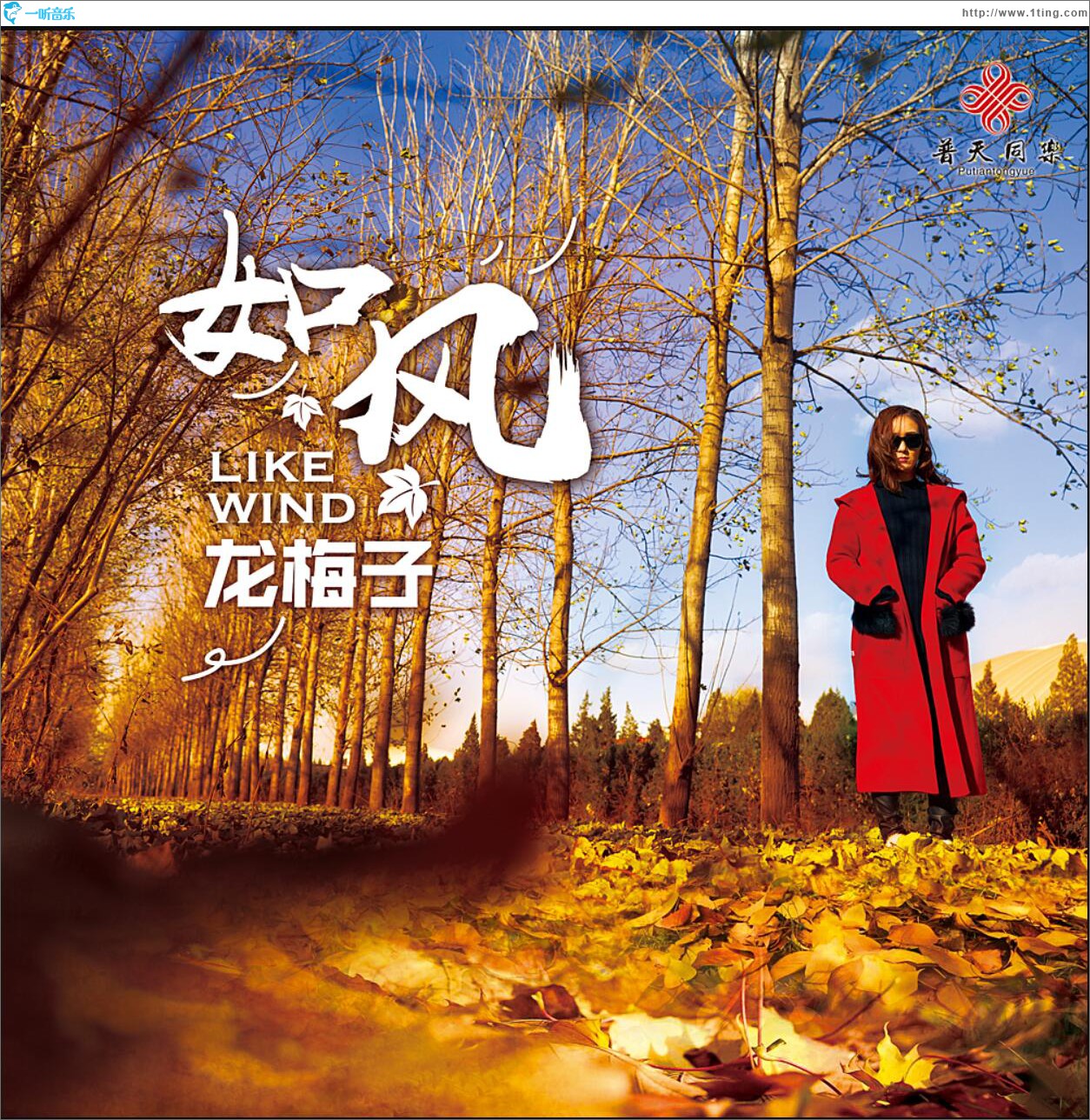 如风 (单曲)