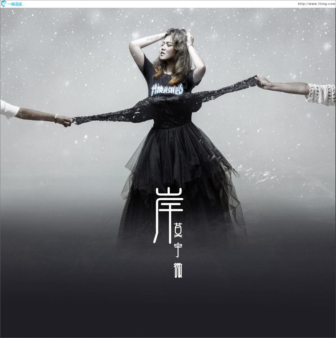 岸 (单曲)