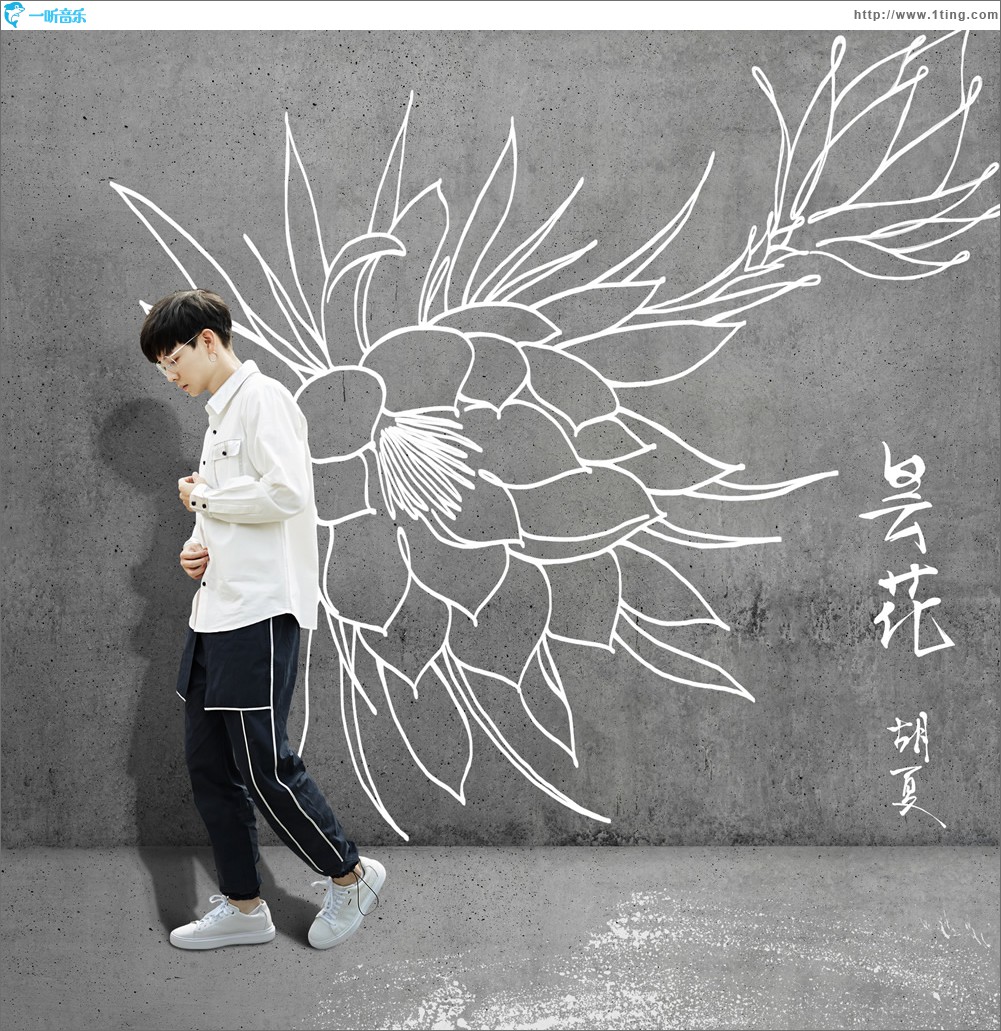 昙花 (单曲)