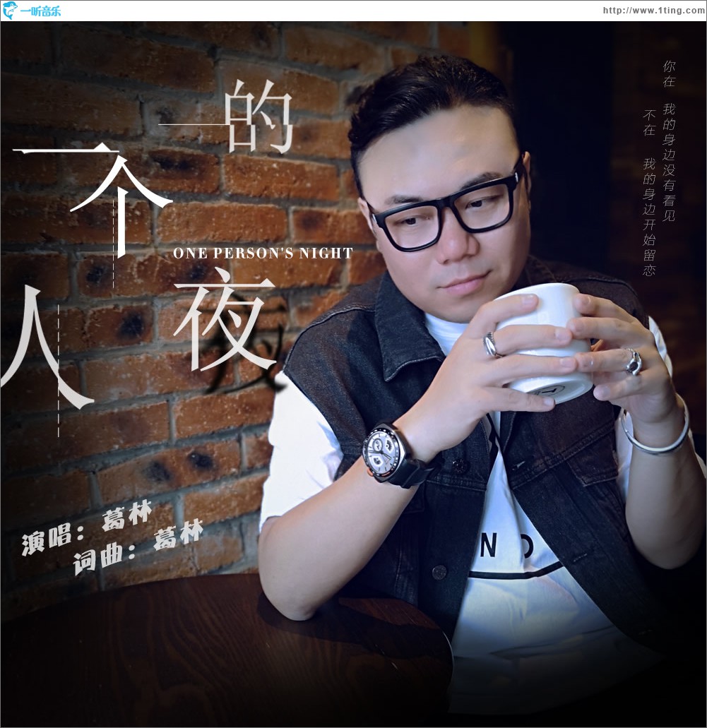 一个人的夜 (单曲)