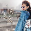 该怎么 (单曲)