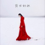 前世的她 (单曲)详情