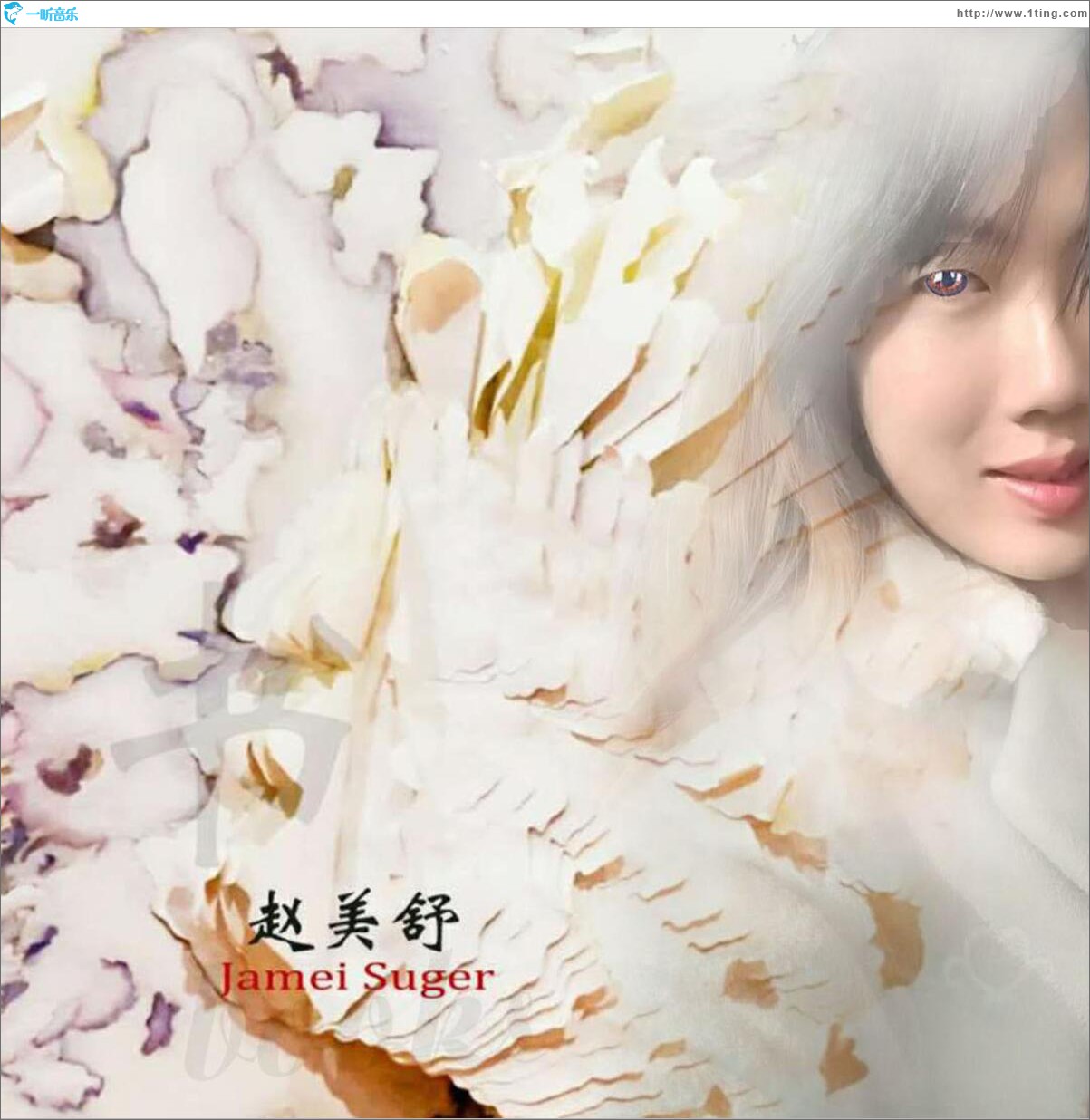 书 (单曲)