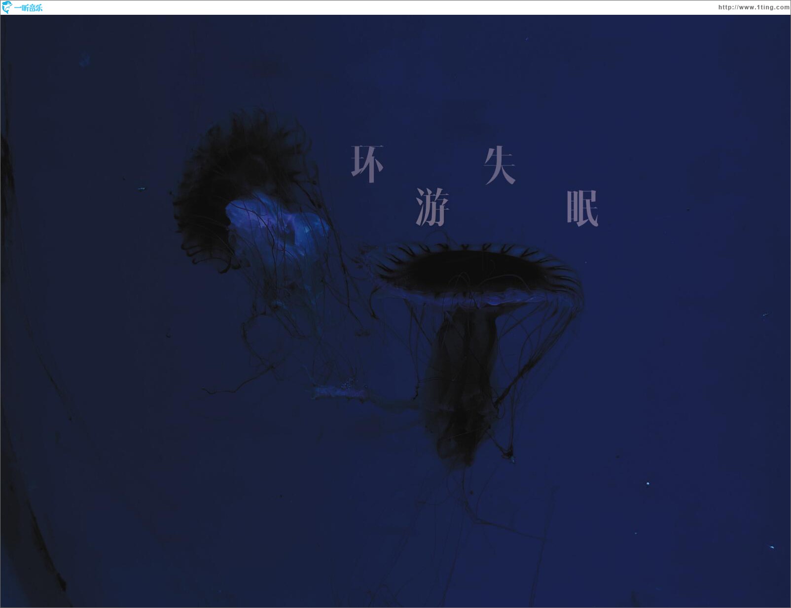 环游失眠 (单曲)