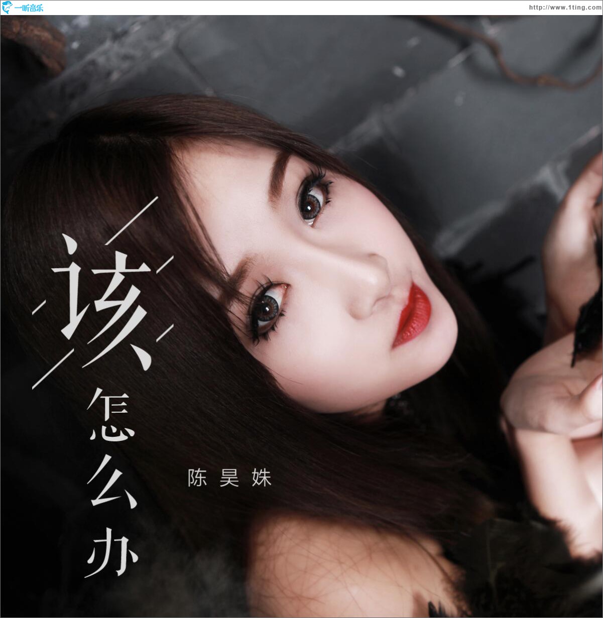 该怎么办 (单曲)