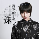 流浪的子弹 (单曲)详情