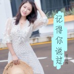 记得你说过 (单曲)详情
