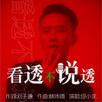 看透不说透 (单曲)详情