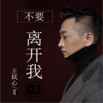 不要离开我 (单曲)详情