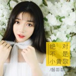 绝对不是小黄歌 (单曲)