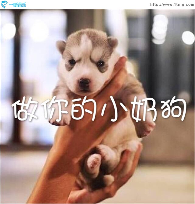 做你的小奶狗 (单曲)