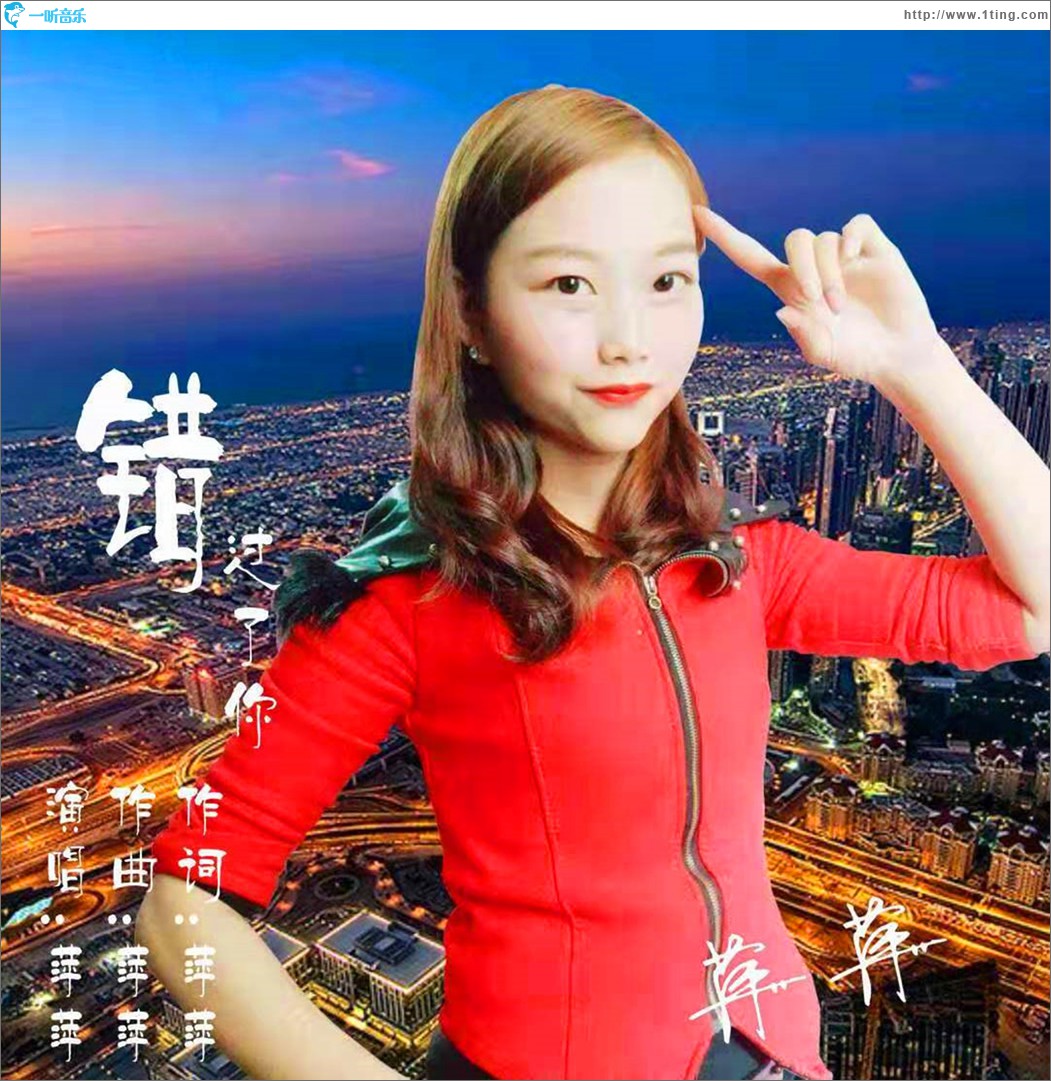 错过了你 (单曲)