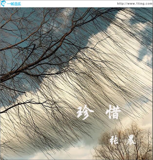 珍惜 (单曲)