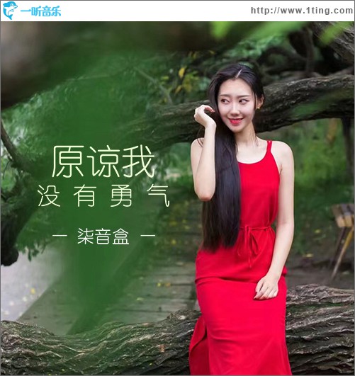 原谅我没有勇气 (单曲)