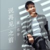 说再见之前 (单曲)