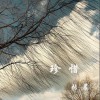 张晨 珍惜 试听