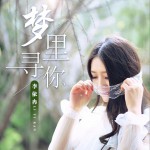 梦里寻你 (单曲)详情