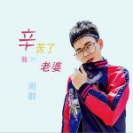 辛苦了我的老婆 (单曲)试听