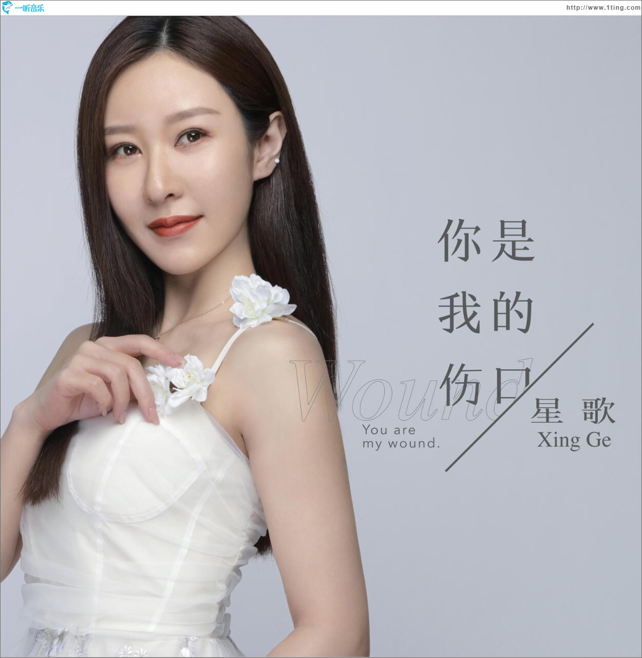 你是我的伤口 (单曲)