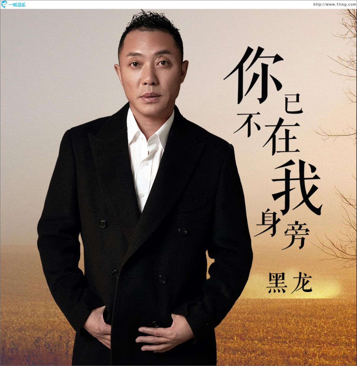 你已不在我身旁 (单曲)