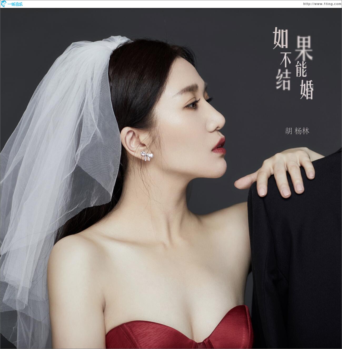 如果不能结婚 (单曲)