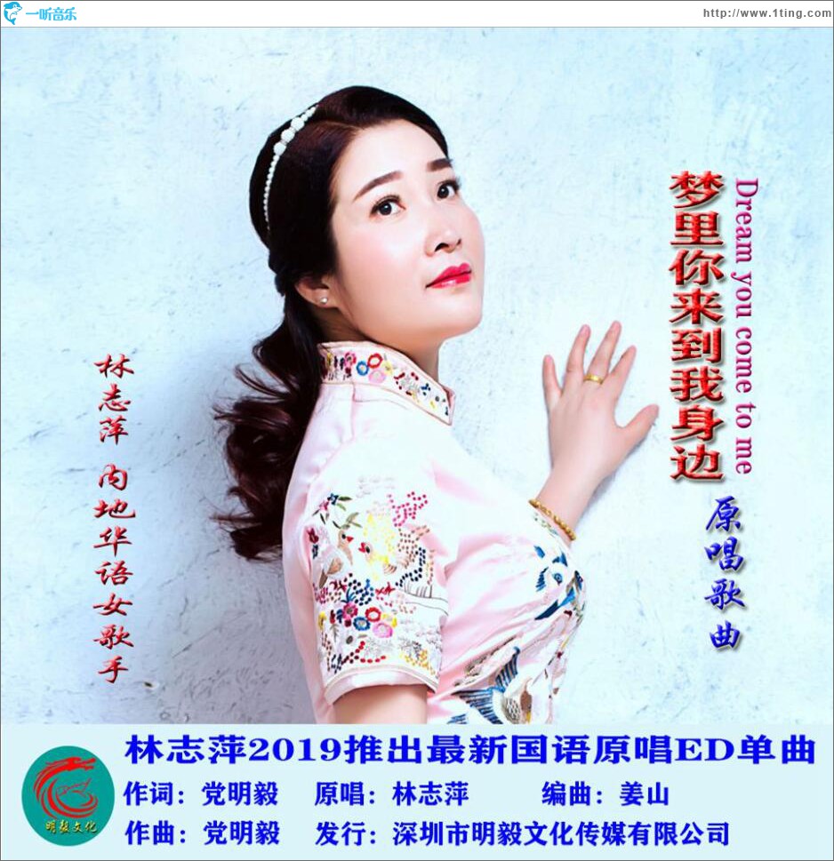 梦里你来到我身边 (单曲)