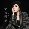 无法形容 (单曲)