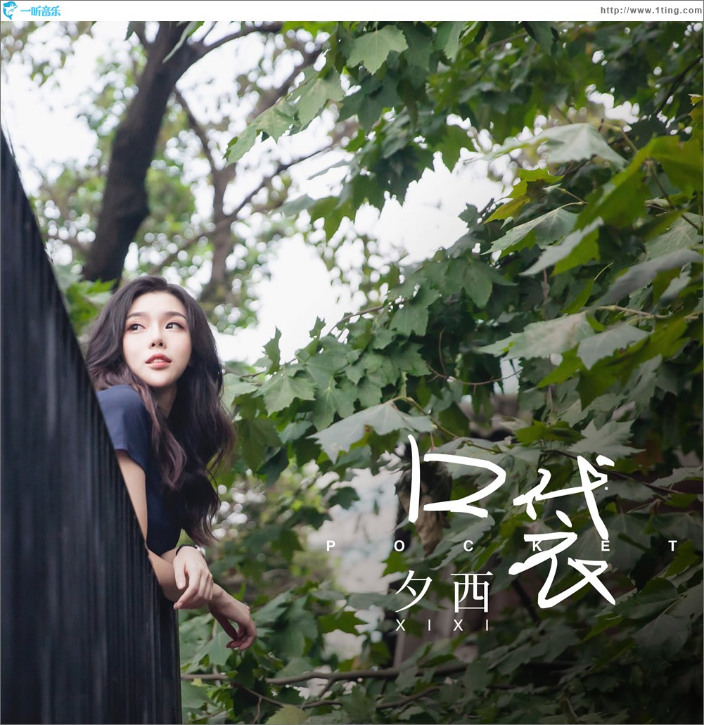 口袋 (单曲)