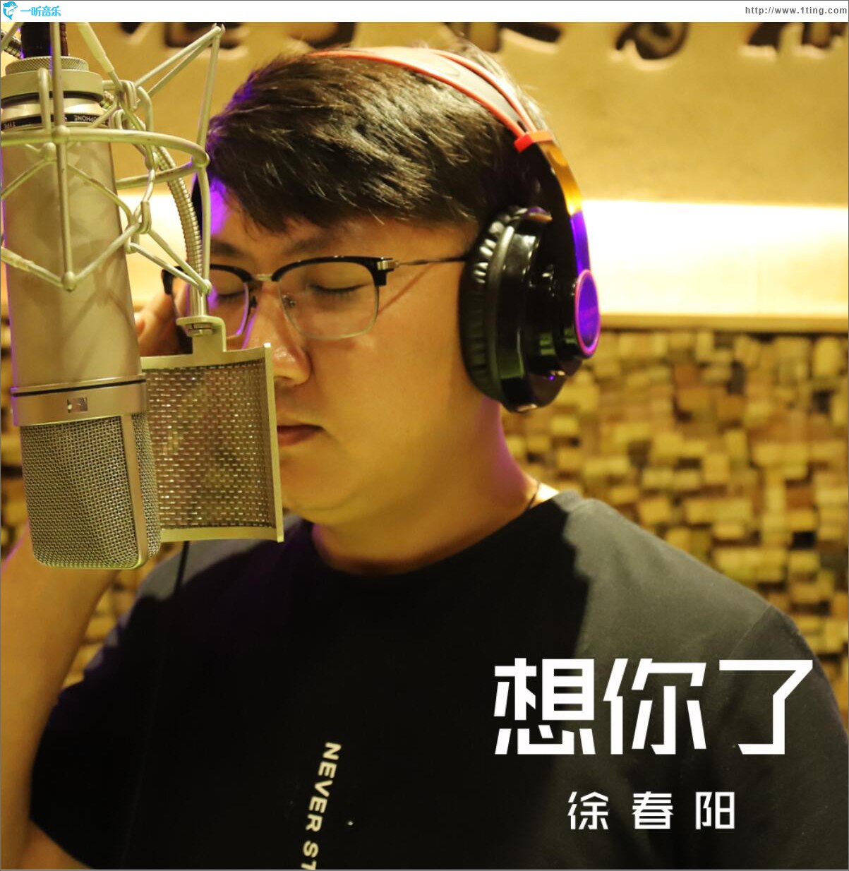 想你了 (单曲)