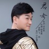 飞鸽 君吟 试听