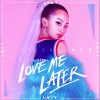 Love Me Later (单曲)