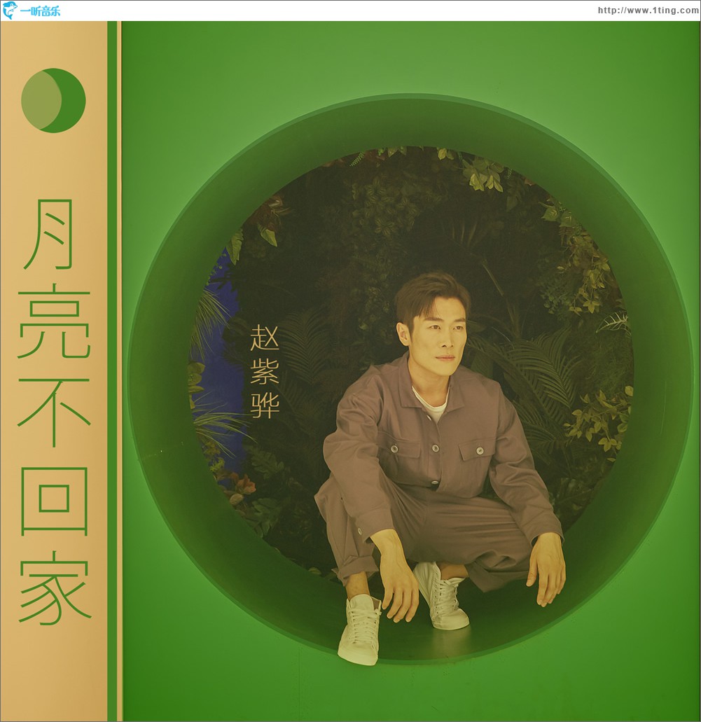 月亮不回家 (单曲)