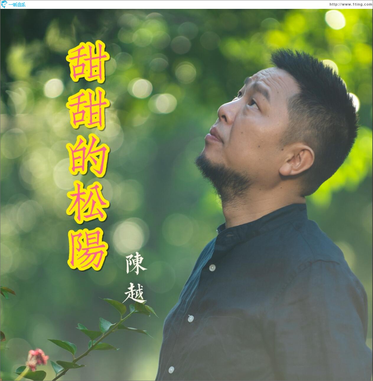 甜甜的松阳 (单曲)