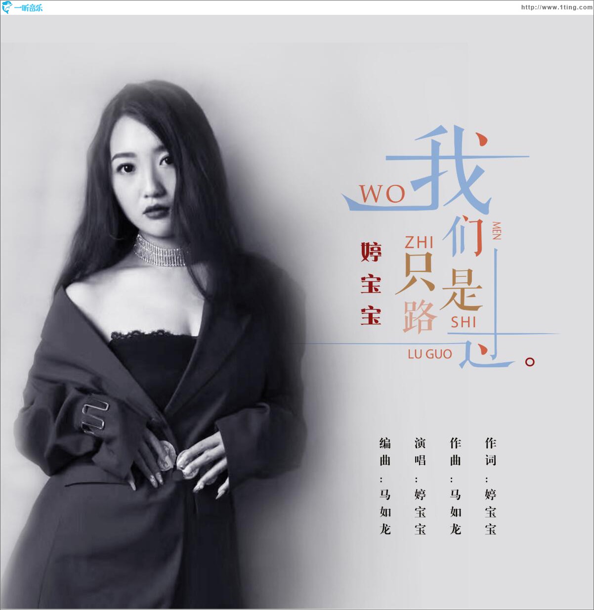 我们只是路过 (单曲)