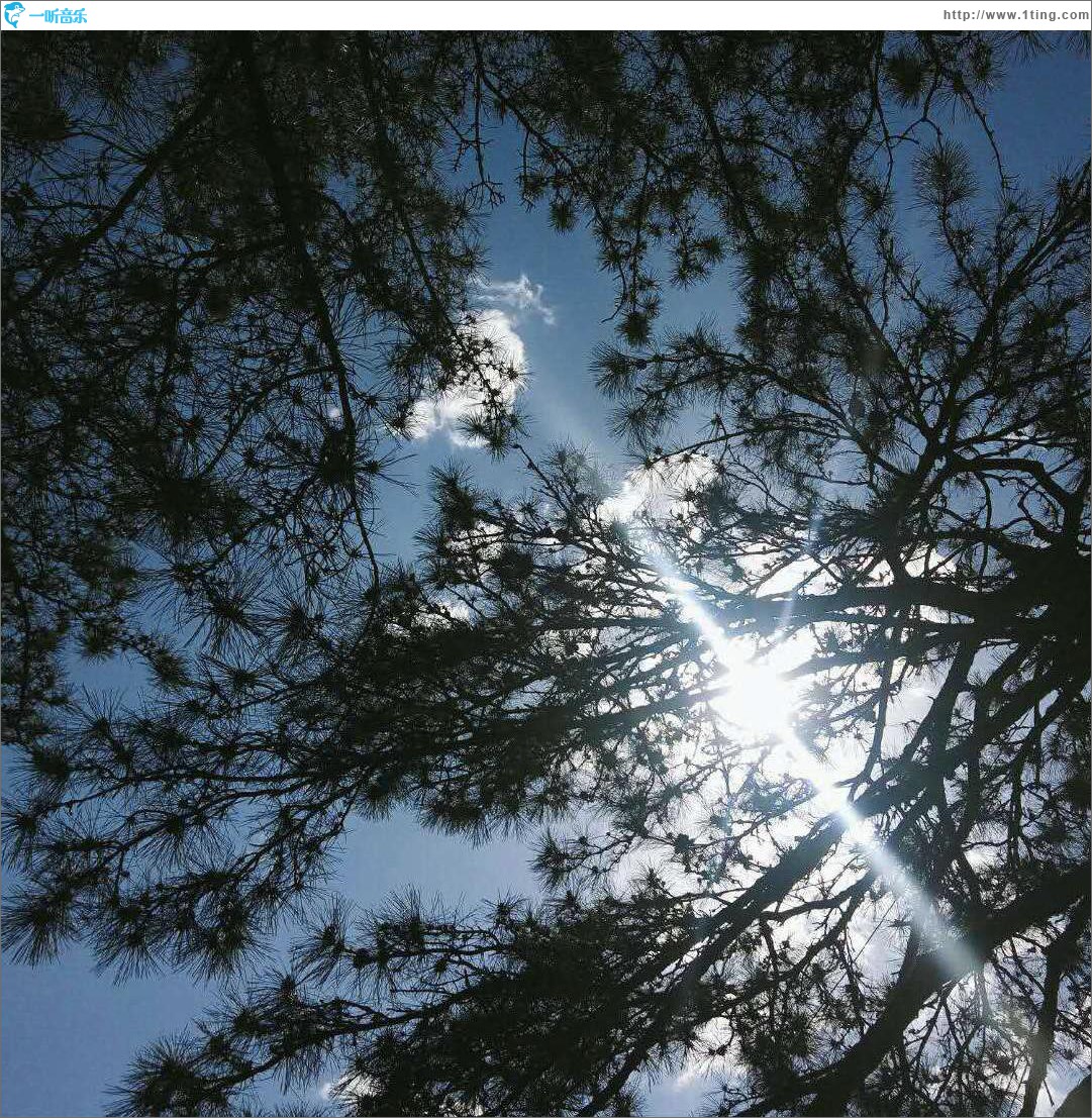 空 (单曲)