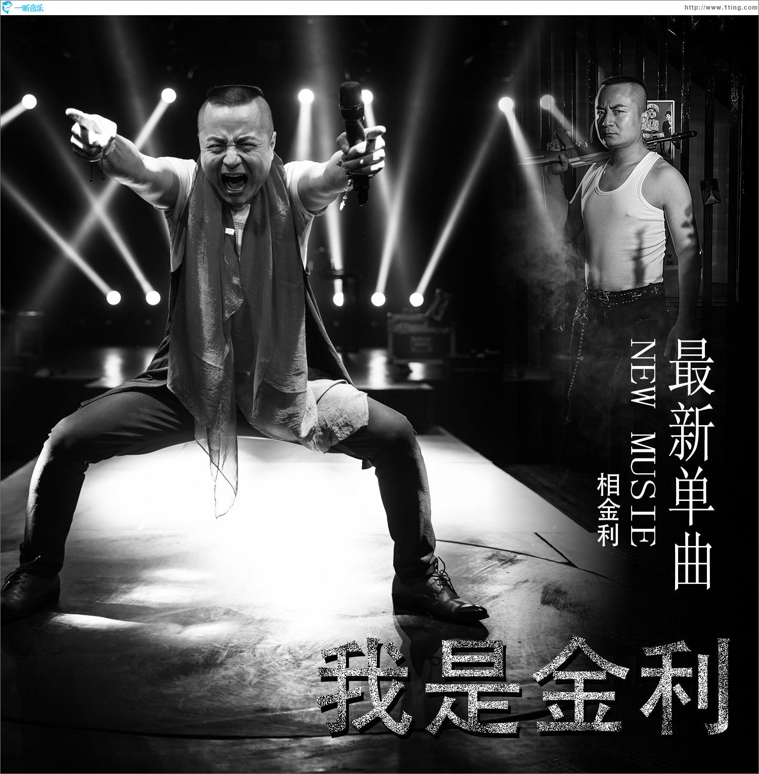 我是金利 (单曲)