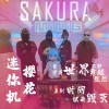 MiniG迷你机 SAKURA 试听